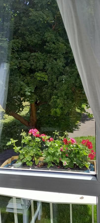 Na Lesnej Apartman Kowary Kültér fotó